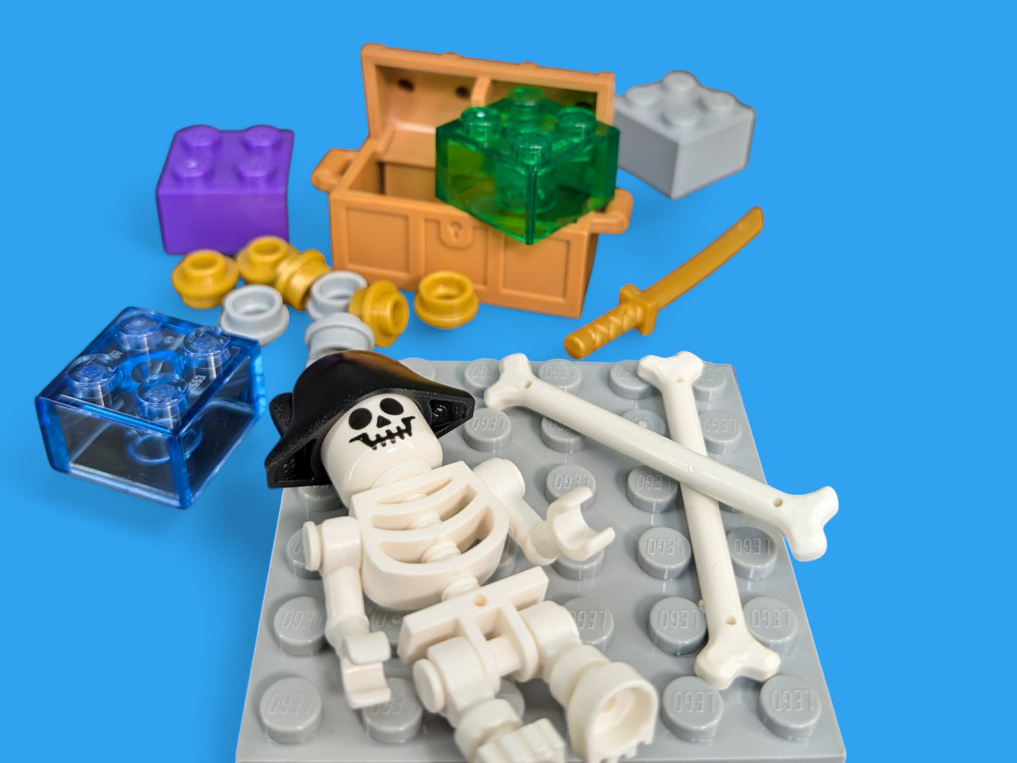 Skeleton Pirate Brick Kit | Free Shipping